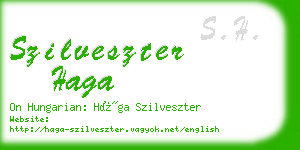 szilveszter haga business card